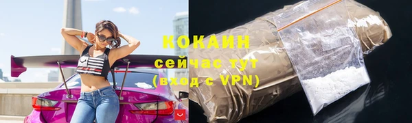 стаф Соликамск