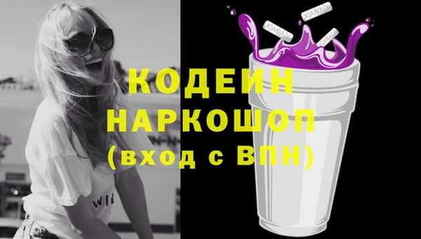стаф Соликамск