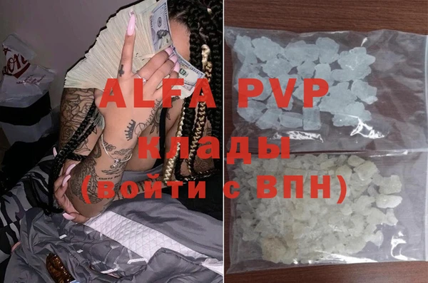 стаф Соликамск
