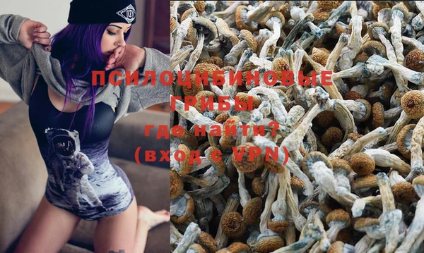 твердый Морозовск