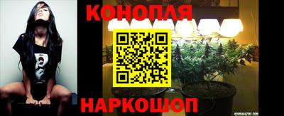 индика Волгодонск