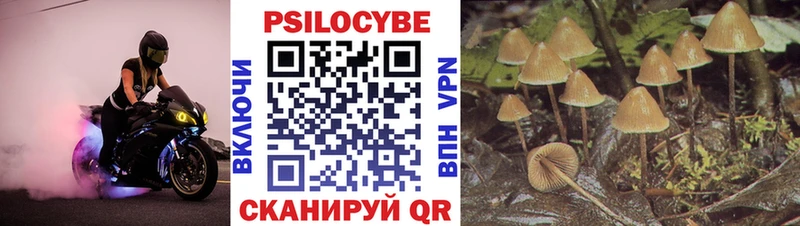 hydra ТОР  Ессентуки  Псилоцибиновые грибы GOLDEN TEACHER  цены  