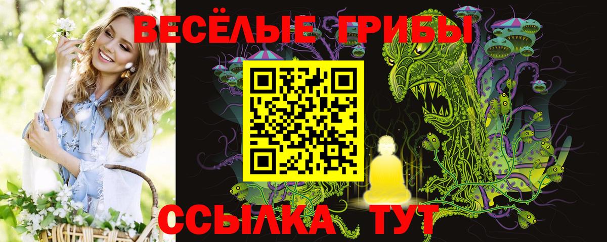 Галлюциногенные грибы ЛСД  Галлюциногенные грибы мухоморы  Ессентуки  Вход с VPN 