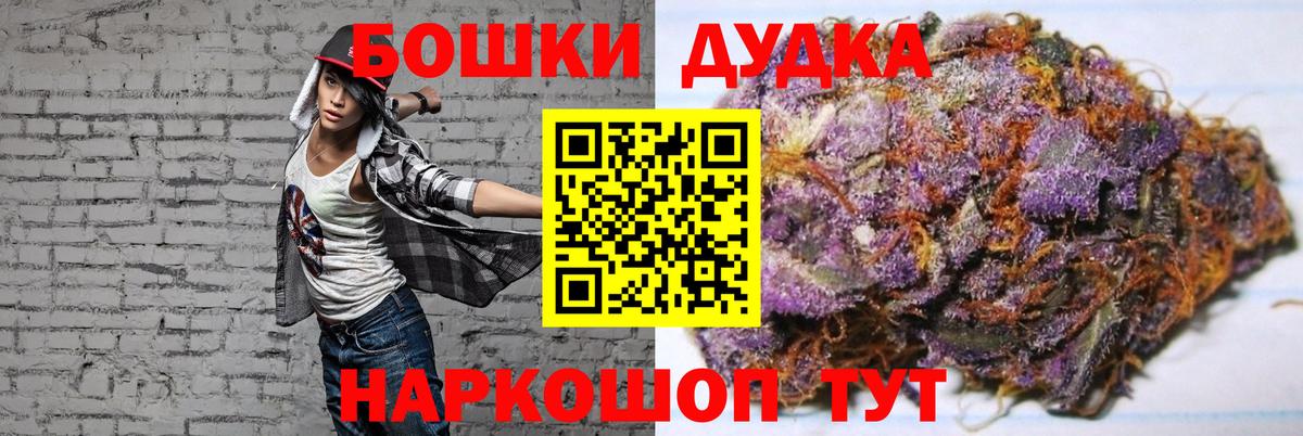 Конопля гибрид Ессентуки